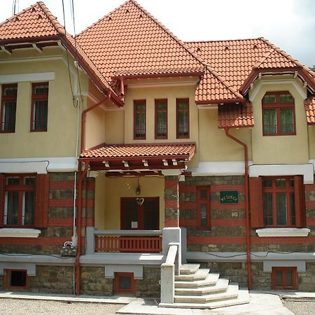 Pensiunea Micsunica Sinaia Zewnętrze zdjęcie